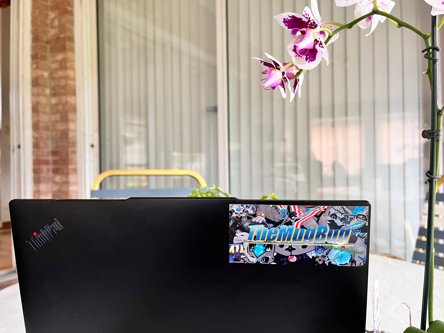A laptop with a sticker on it that says "TheMugBug". An Orchid is in the background.